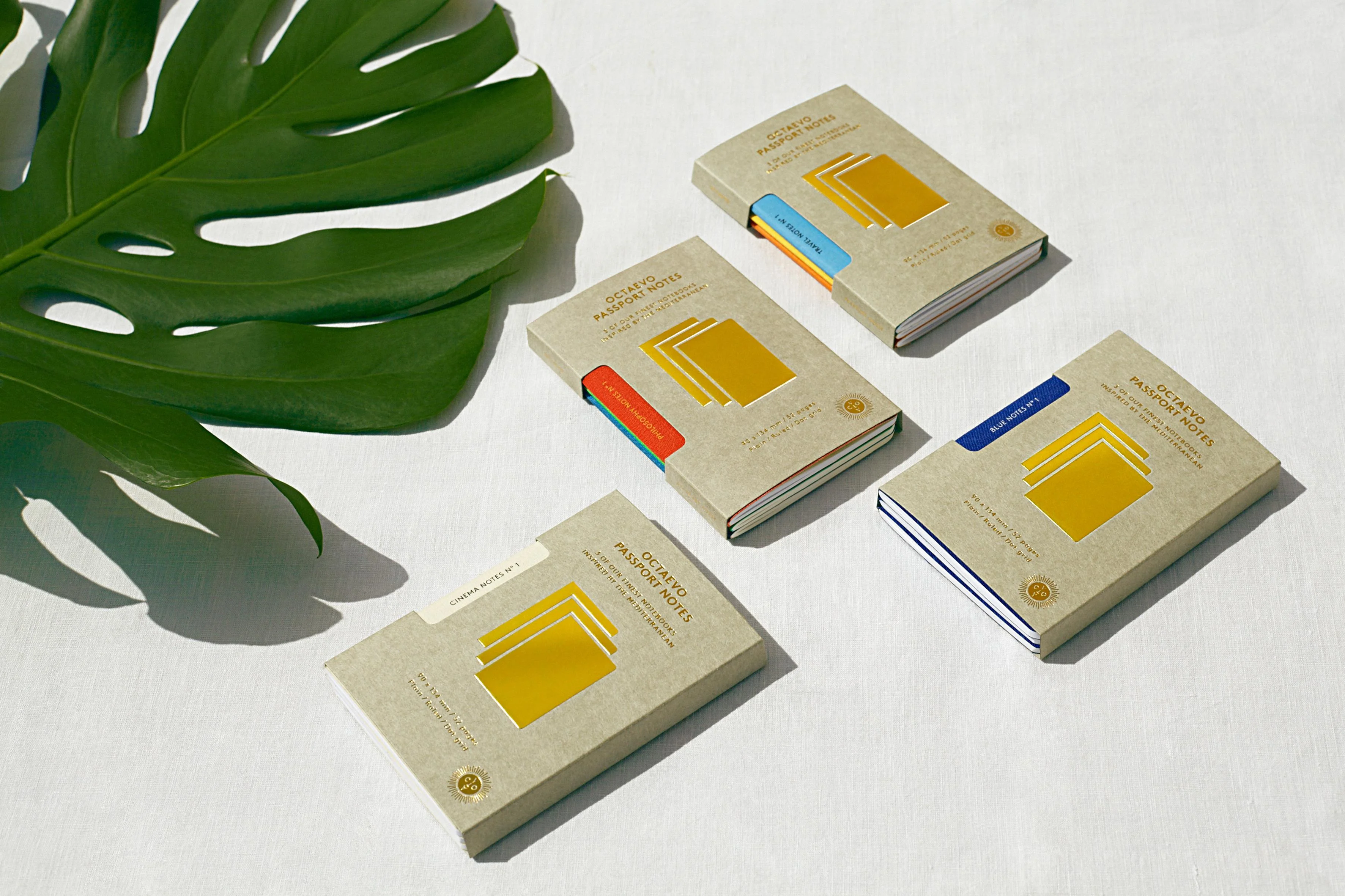 Octaevo Passportnotes Box