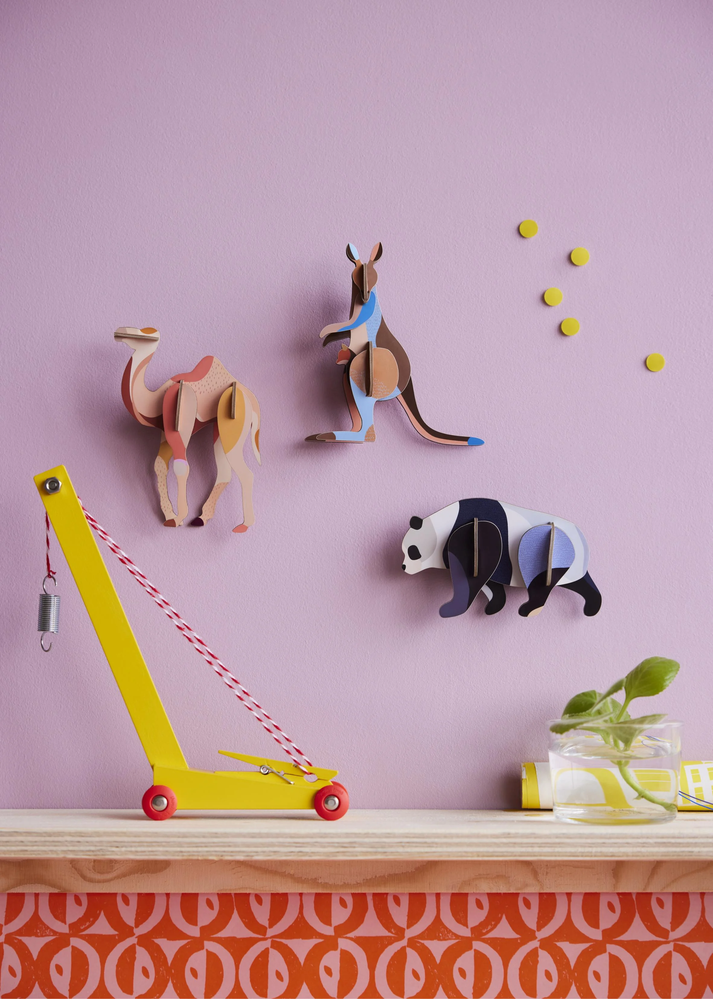 Wild Animals Camel Kangaroo Panda Overview Portrait Picture