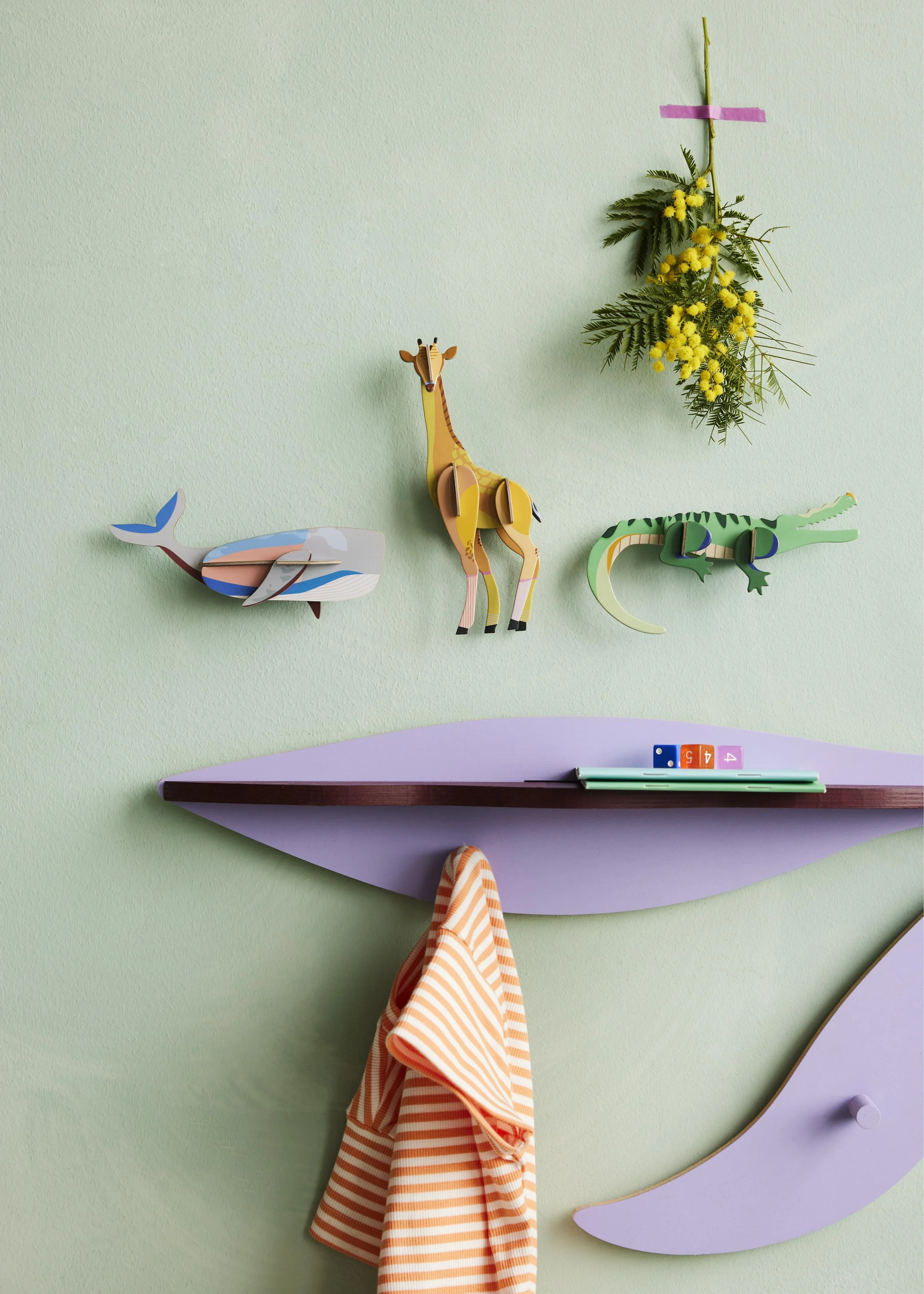 Wild Animals Whale Crocodile Giraffe Overview Portrait Picture