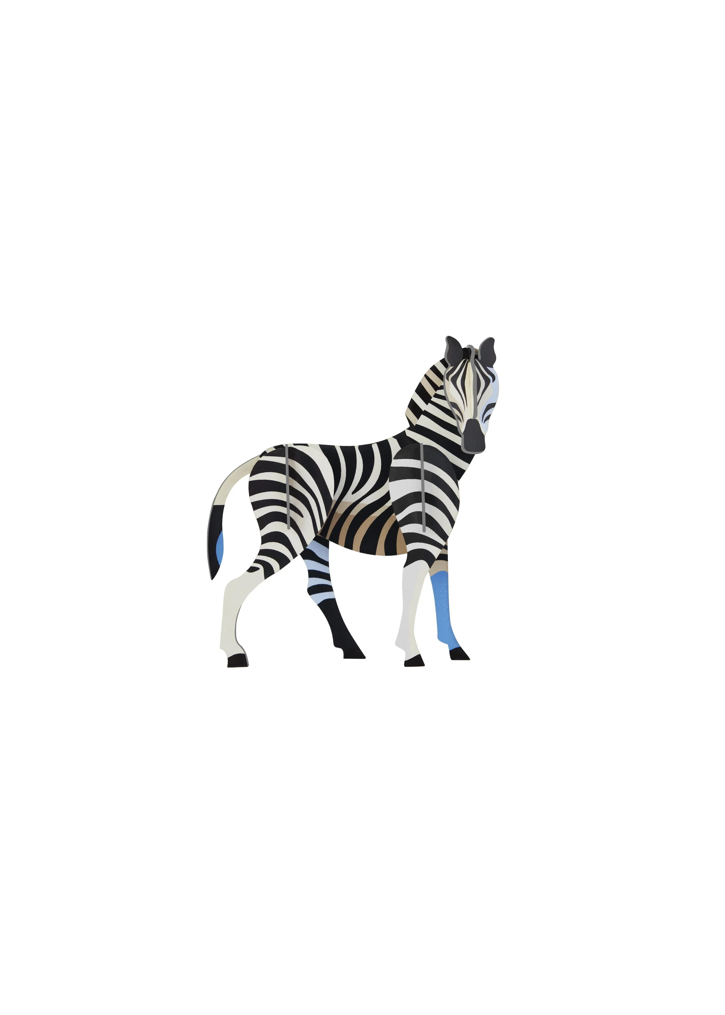 Zebra Product Picture