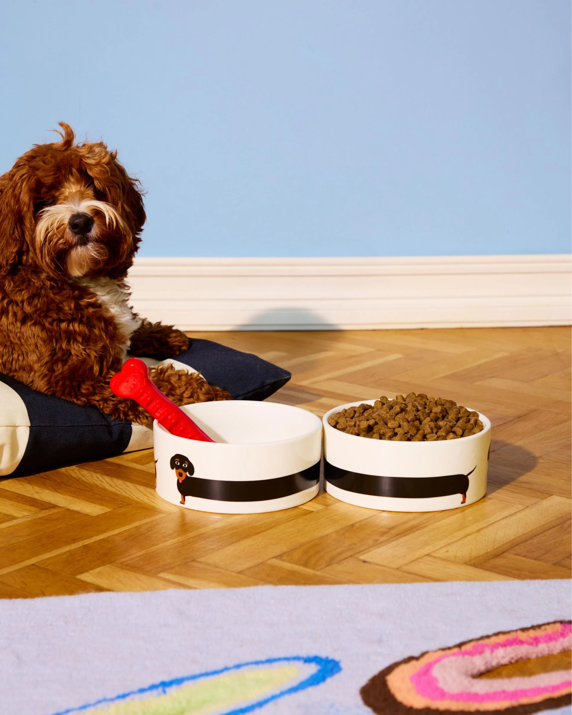 V3 Lm 2025 Fluid Market Chien Bowl 034