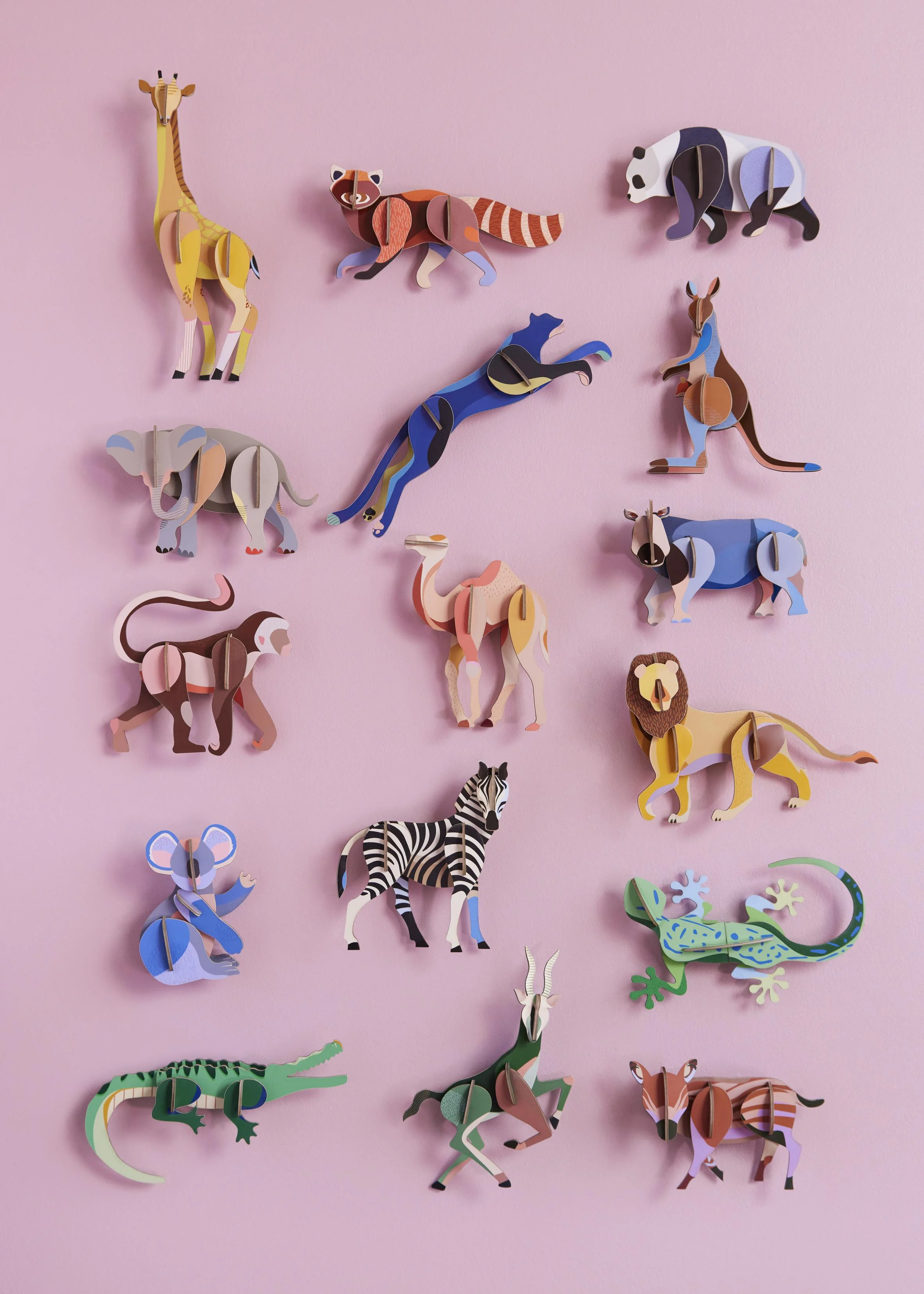 Wild Animals All Together Overview Portrait Picture